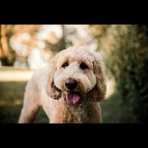 Meet your Posher, Kaitlynn